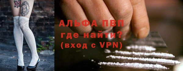 apvp Верея
