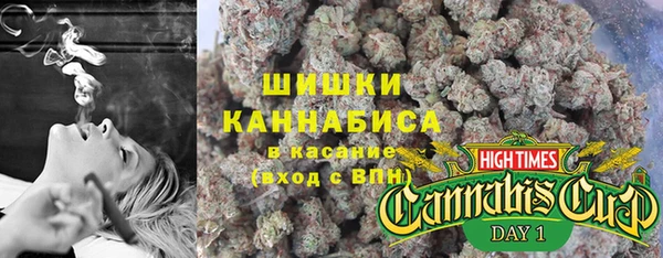 apvp Верея
