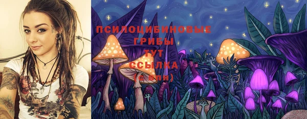 apvp Верея