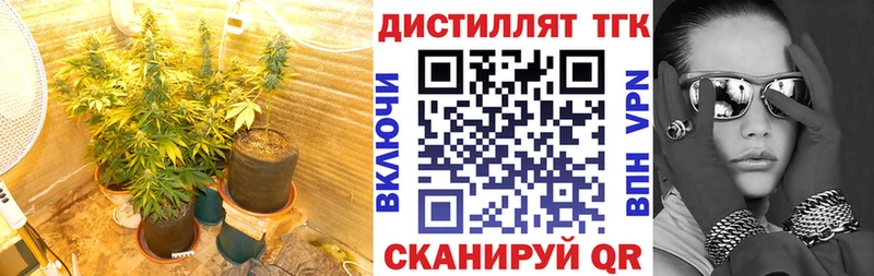 Дистиллят ТГК концентрат  как найти наркотики  Домодедово 