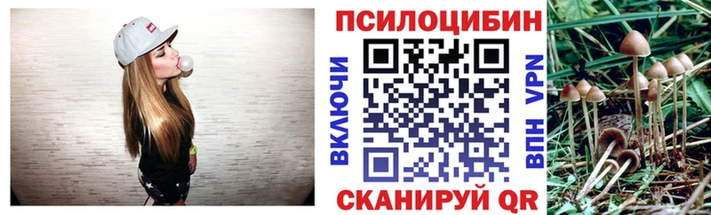 Галлюциногенные грибы мицелий  цена   Домодедово 